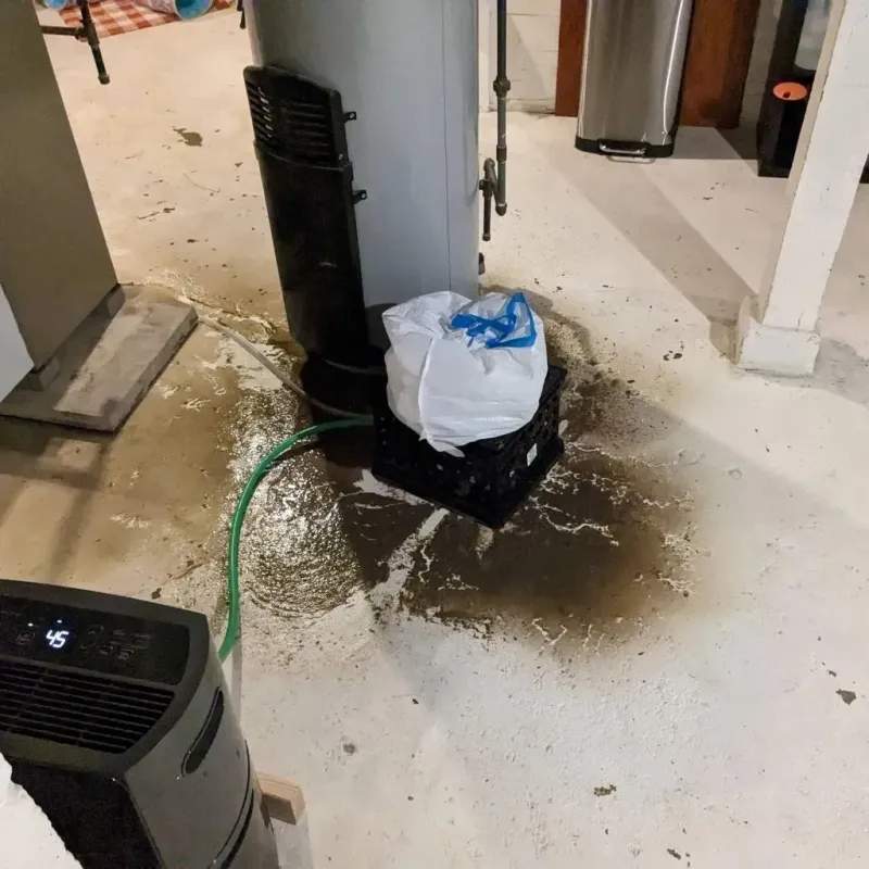 Sewage Backup Cleanup Service in Donora, PA